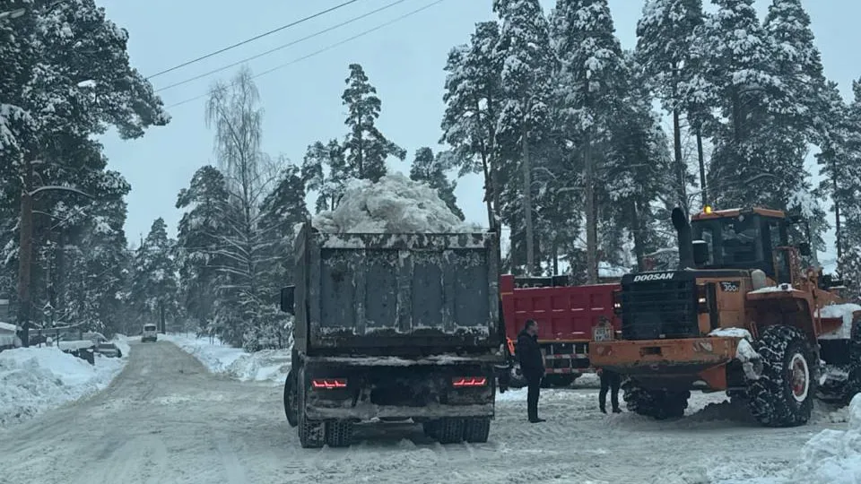 Фото: t.me/dmitriyvikulov