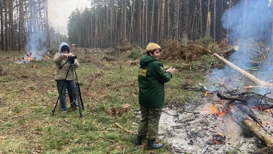 Фото: Комитет лесного хозяйства Московской области