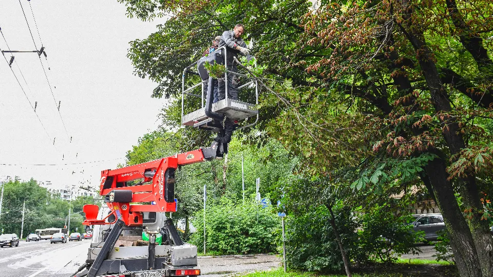 Фото: Иван Чижов