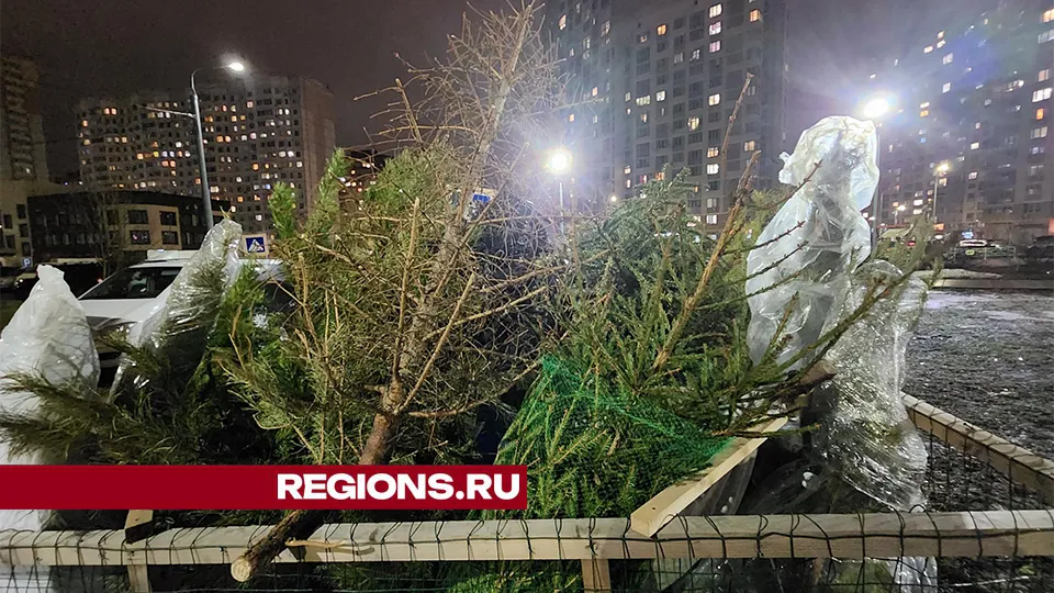 Фото: Михаил Раскин