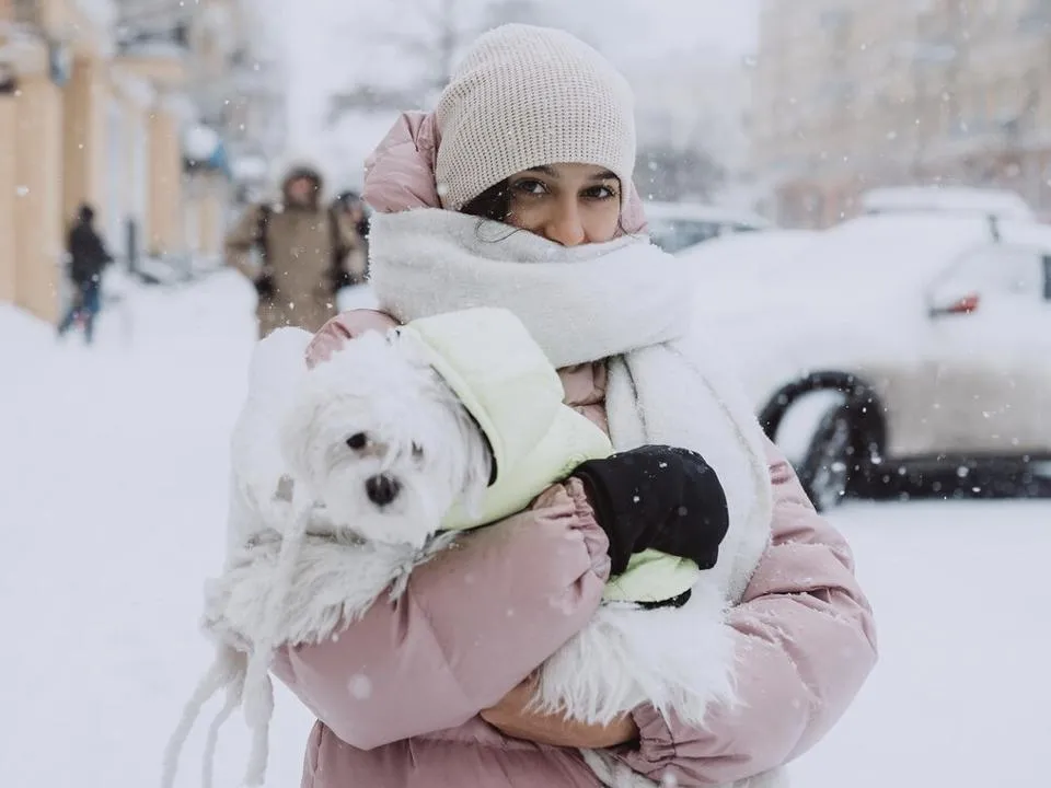 Сильное похолодание и гололедица ожидают жителей Москвы и Подмосковья на неделе