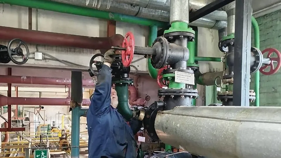 Фото: Администрация городского округа Истра