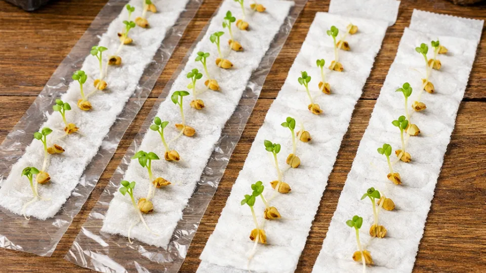 Фото: REGIONS/Сгенерировано нейросетью