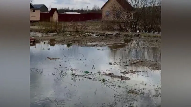 Можайская дачница выкопала огромный котлован на границе с участком соседки