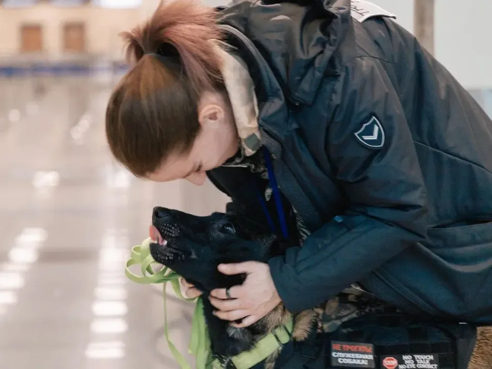 Фото: администрация г.о. Домодедово