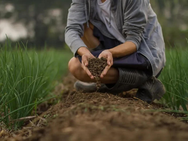 &nbsp; Фото: istockphoto.com