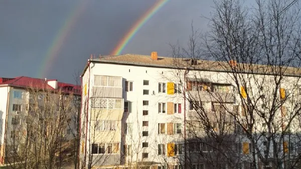 Фото: https://t.me/volokolamsk8