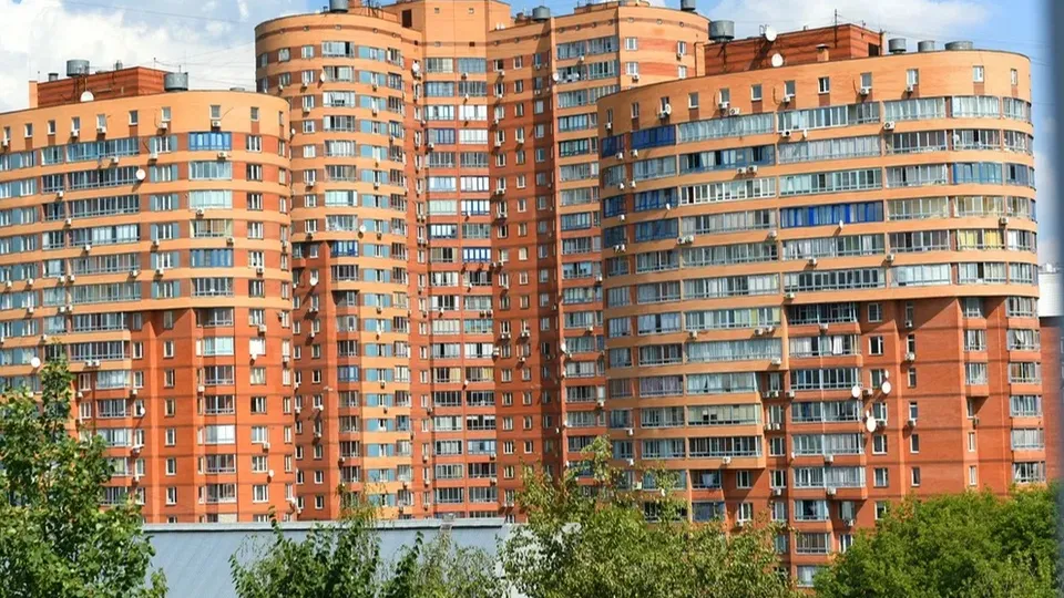 Фото: пресс-служба Администрации г.о. Химки
