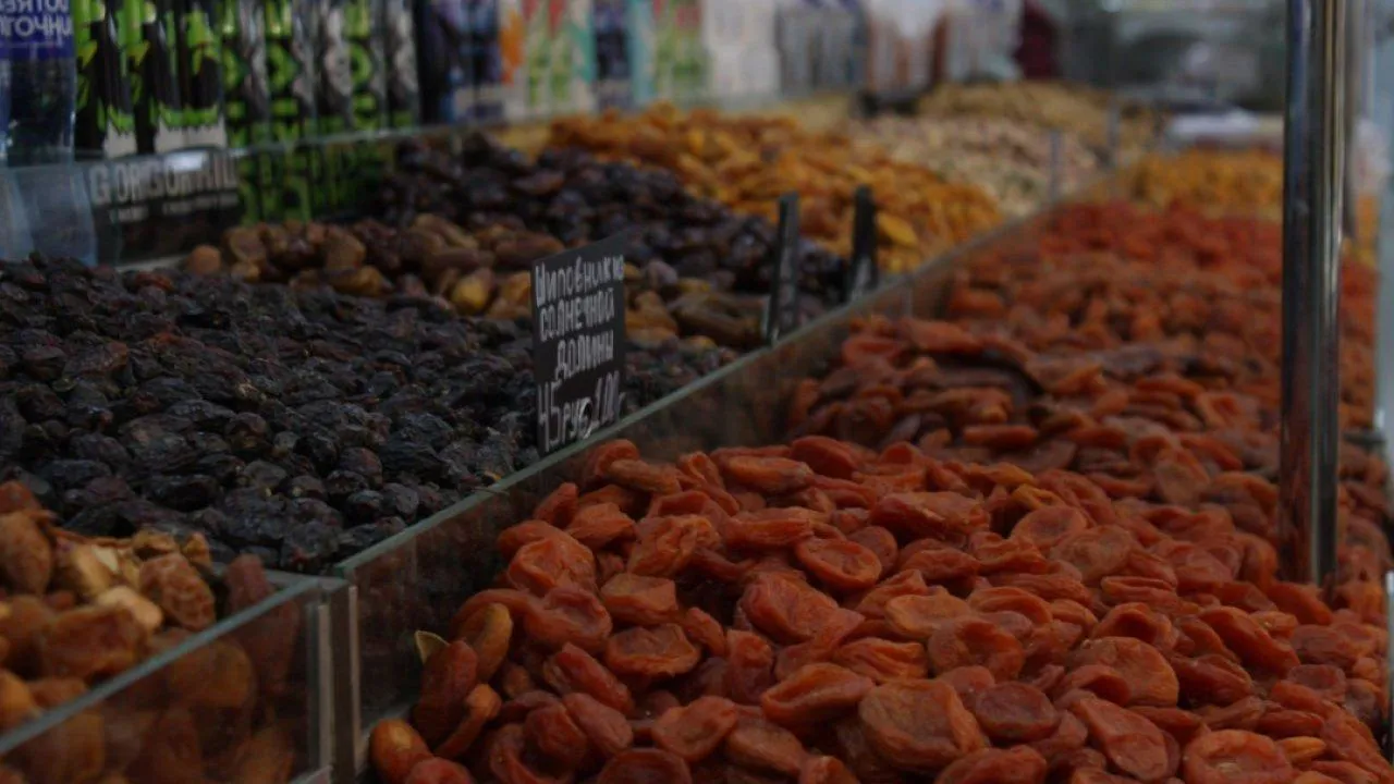 REGIONS/Анастасия Широкая