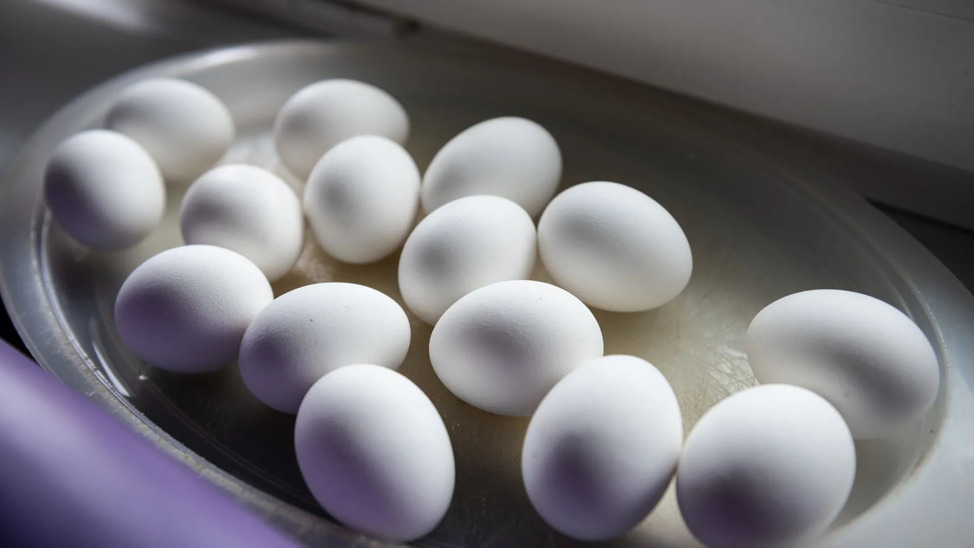 Эксперимент РИАМО по окраске яиц к Пасхе