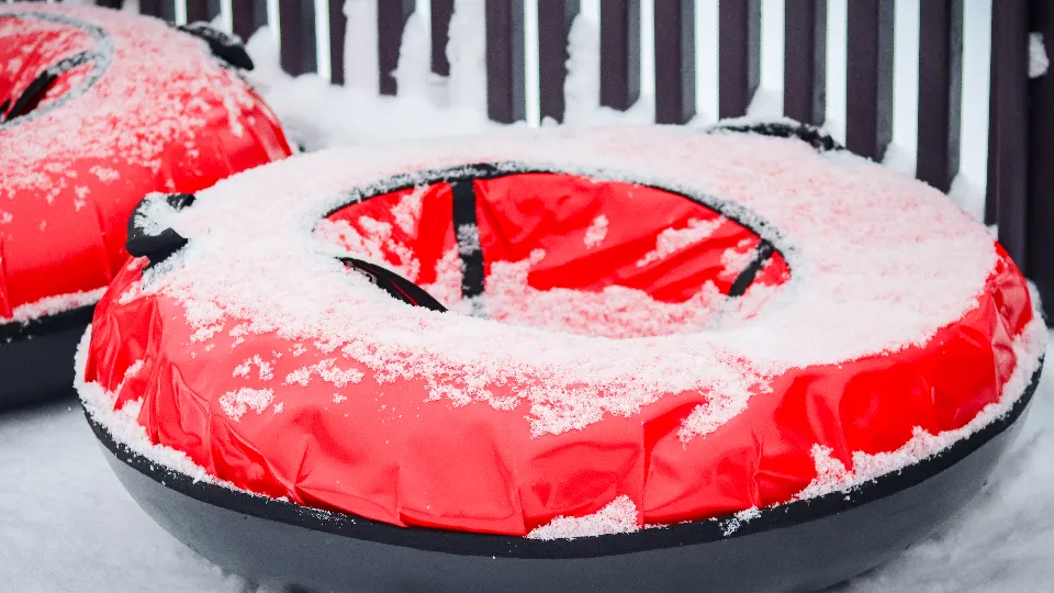 Фото: МедиаБанк Подмосковья/Данила Кирьянов