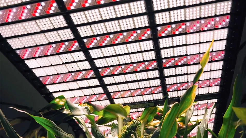 Фото: Компания «Щелково Агрохим»