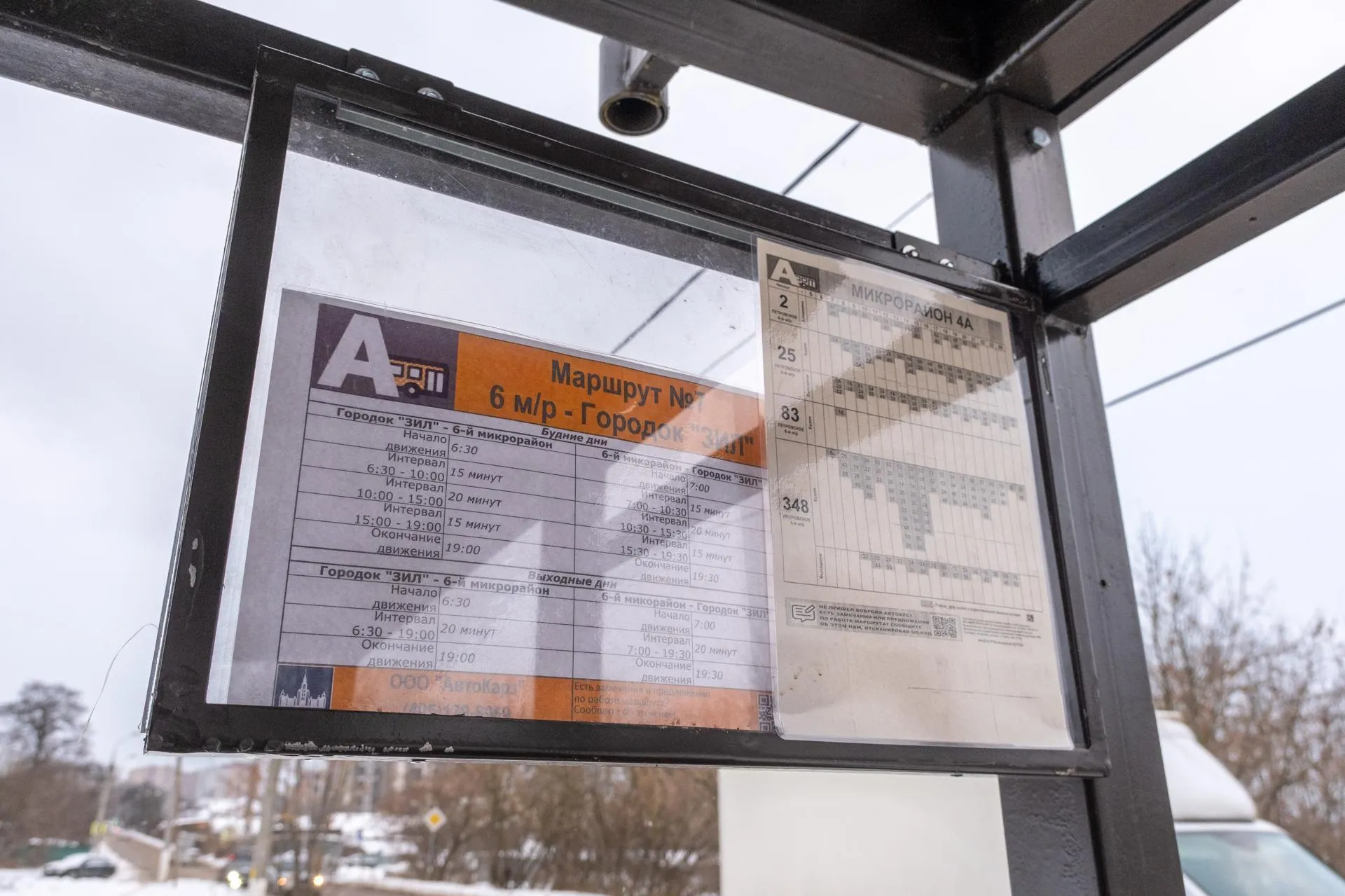 Антон Шаманин