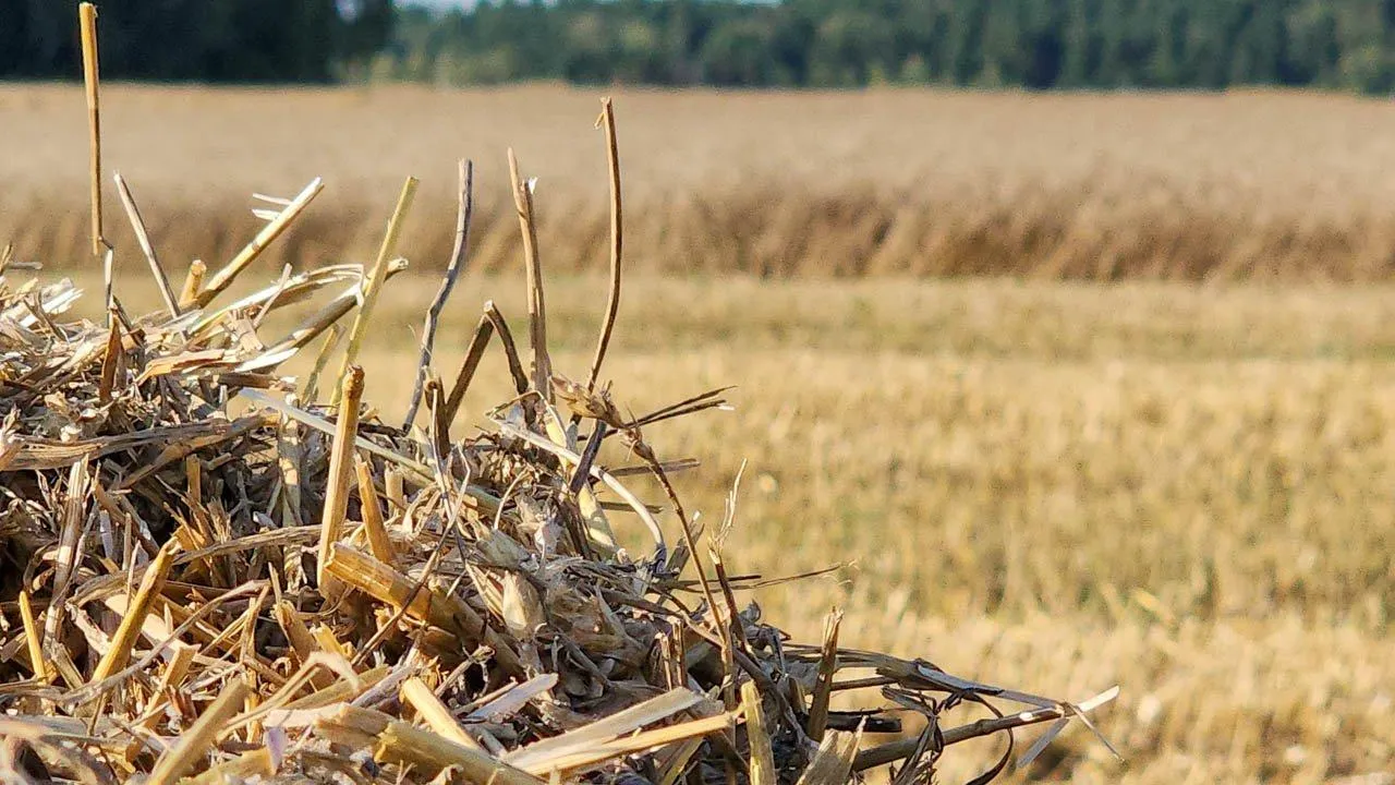 REGIONS/Наталия Надточая