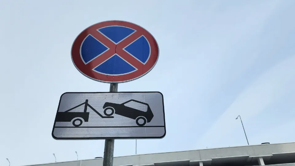 Фото: Анастасия Сараева