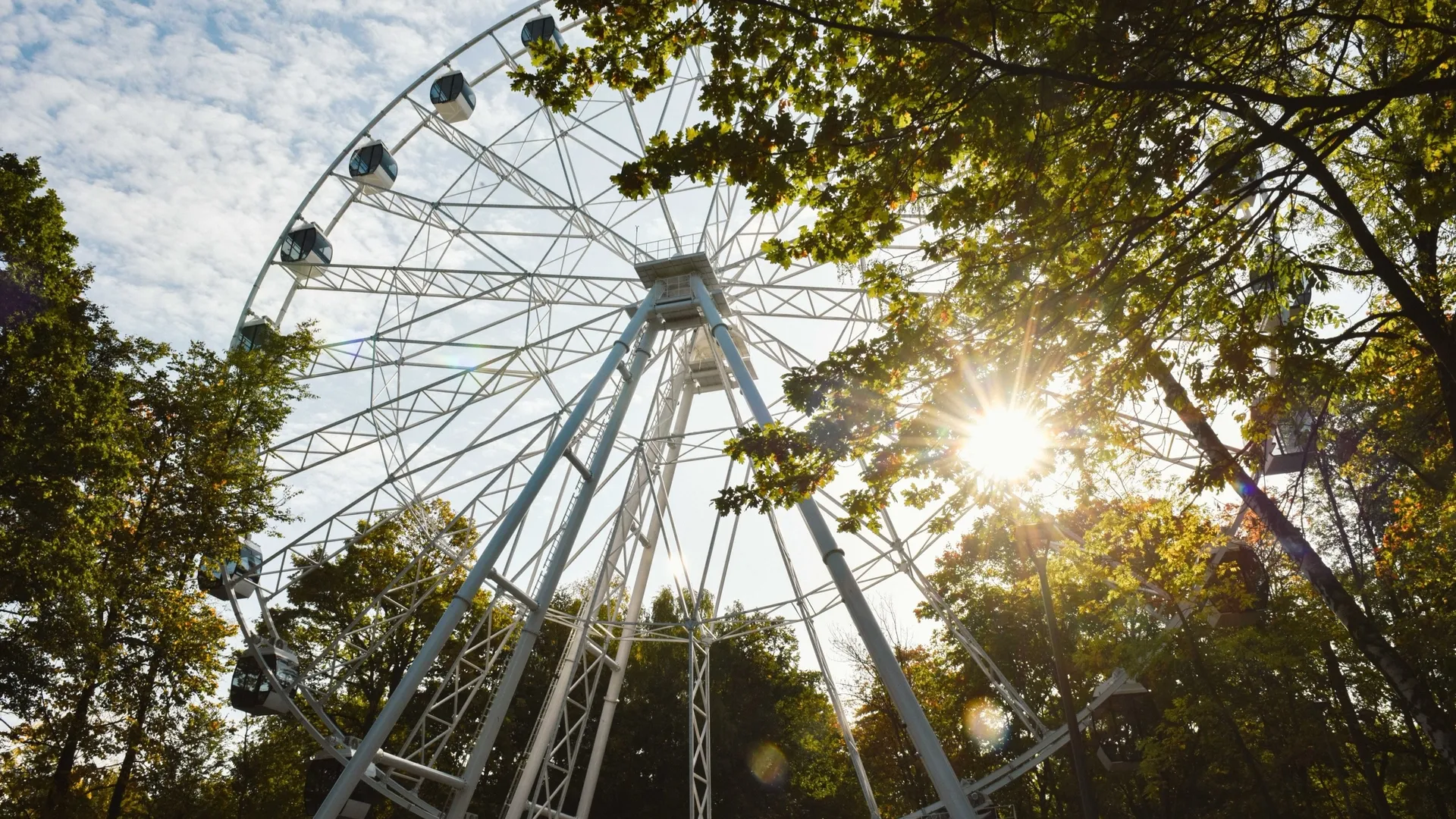 Фото: пресс-служба администрации г.о. Химки