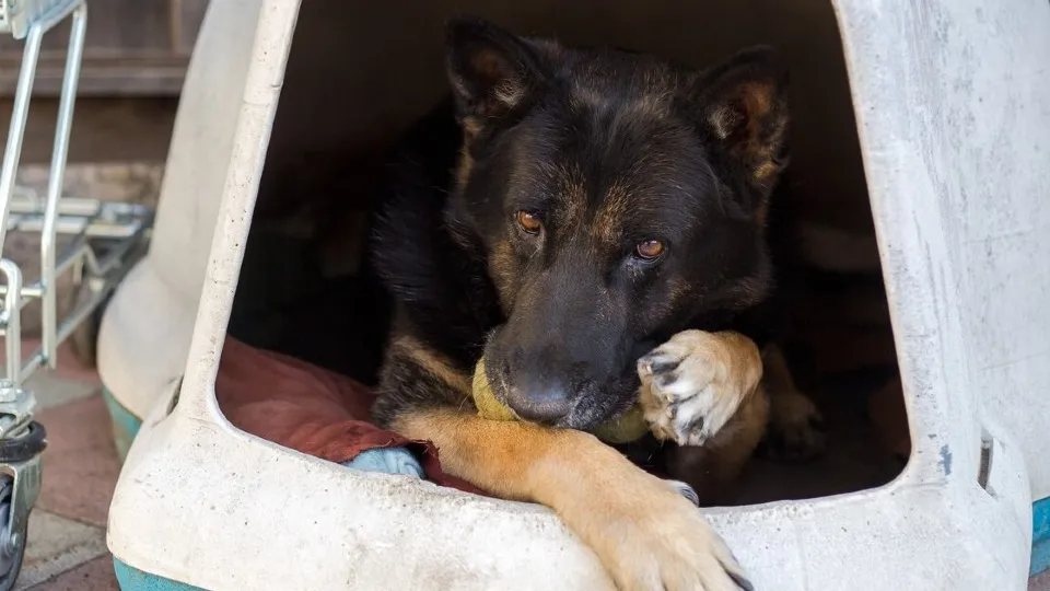 Фото: freepik.com