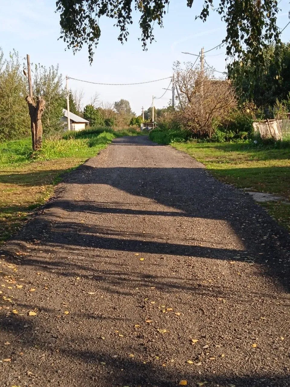 Фото: Пресс-служба администрации г.о. Кашира