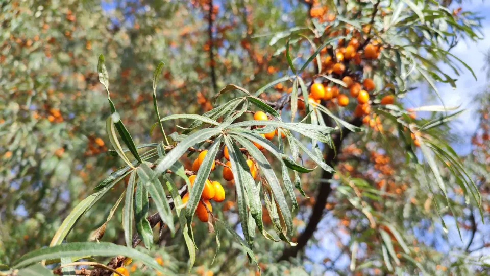 Фото: REGIONS/Елена Забелина