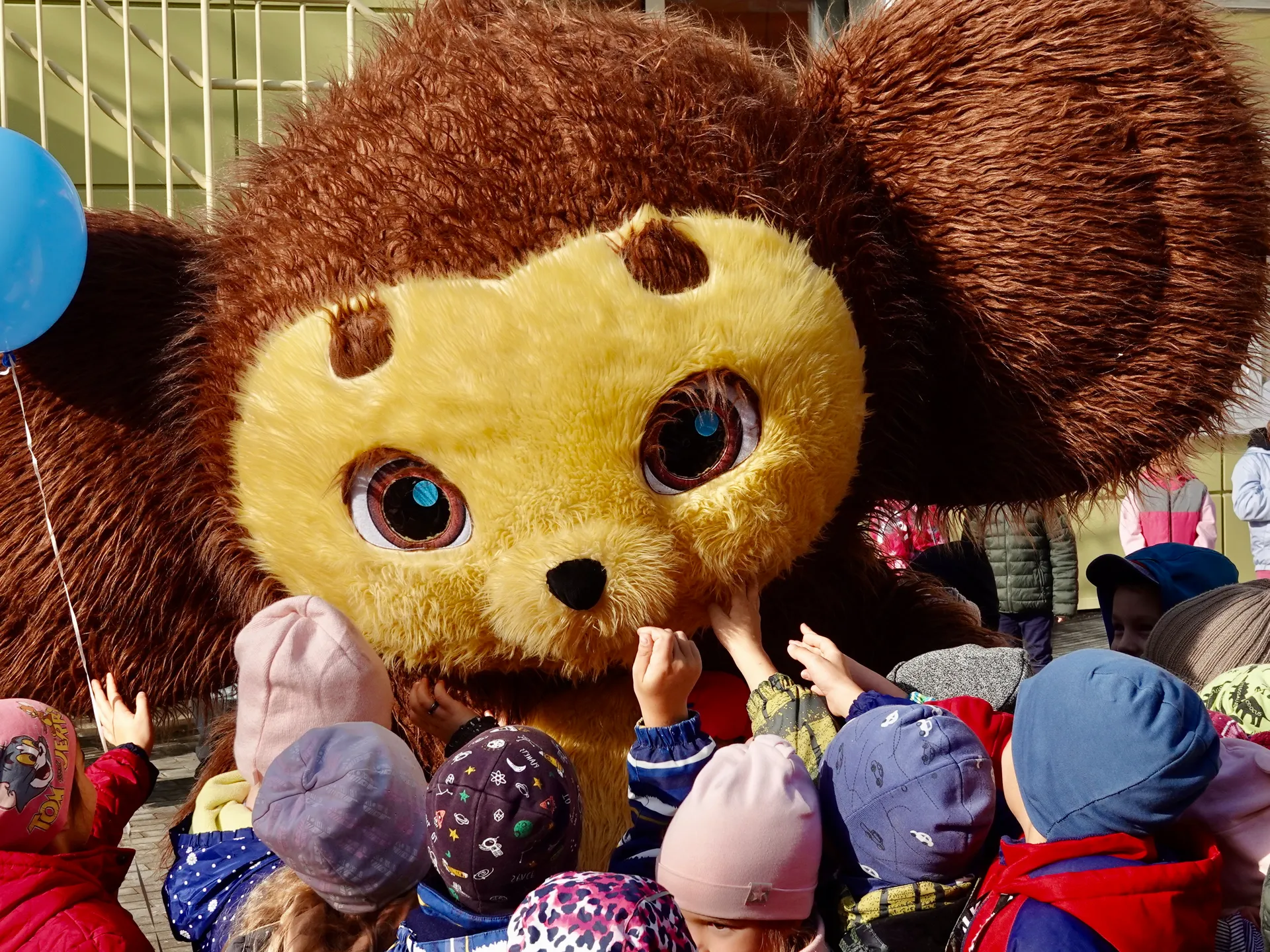 Фото: МедиаБанк Подмосковья/Дарья Леонова