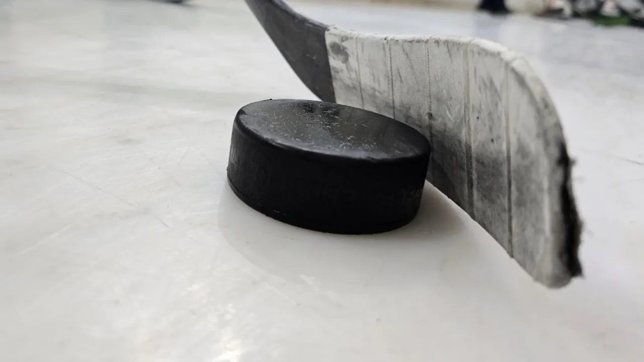 МедиаБанк Подмосковья/Яна Шаливская