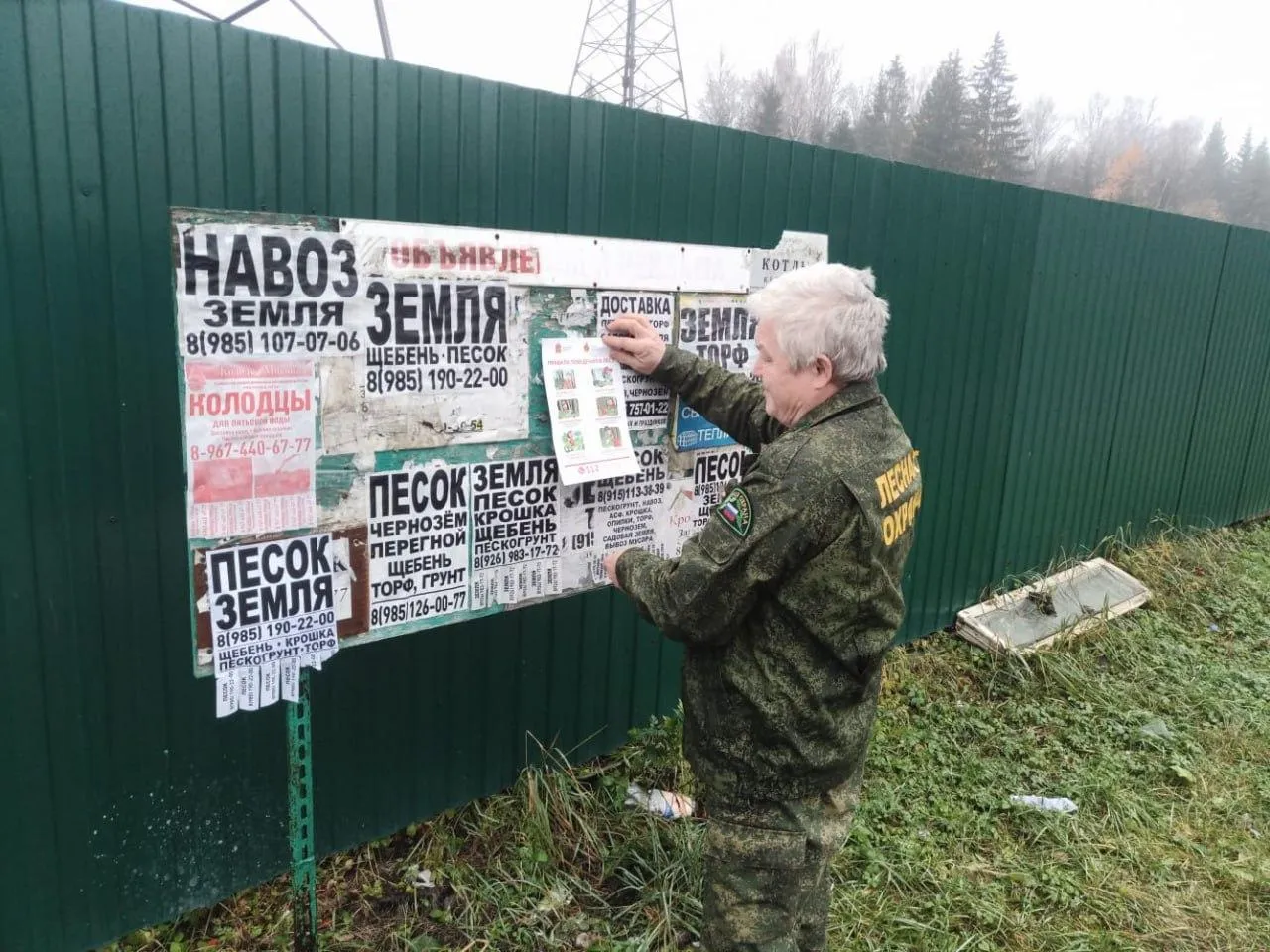 Комитет лесного хозяйства Московской области