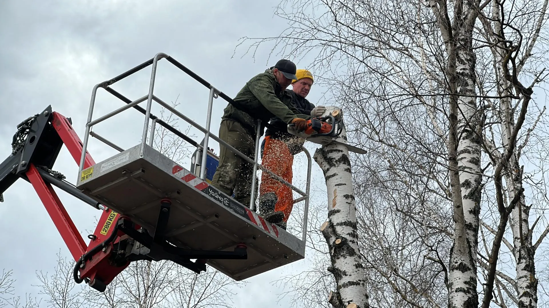 МедиаБанк Подмосковья/Данила Кирьянов