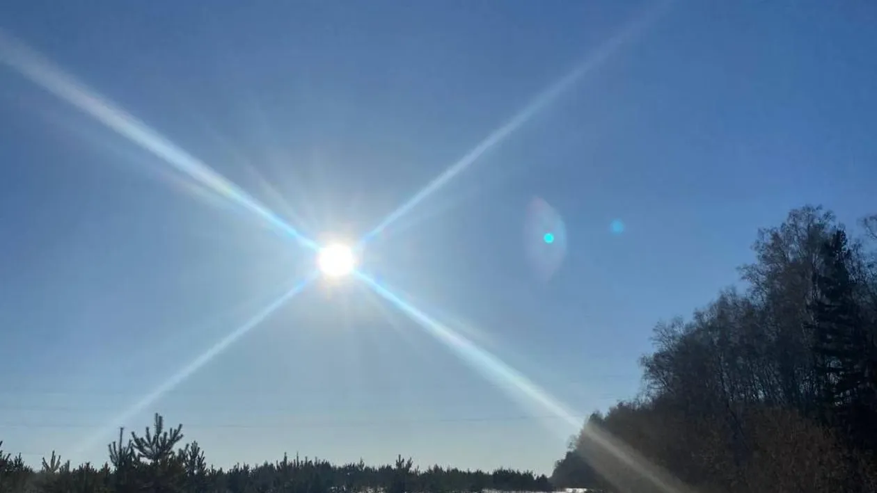 REGIONS/Мария Толстикова