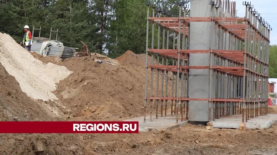 «Быком» называется промежуточная опора моста. Фото: REGIONS/Василий Тремасов