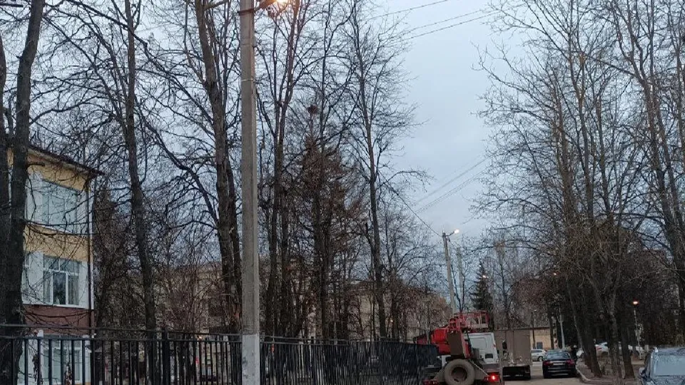 Фото: пресс-служба администрации г.о. Воскресенск