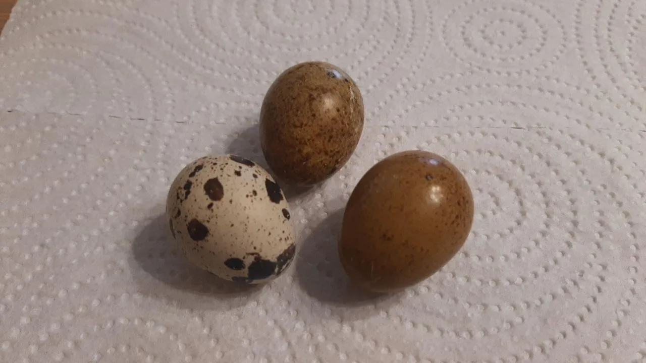 личный архив Алексея Михайлова