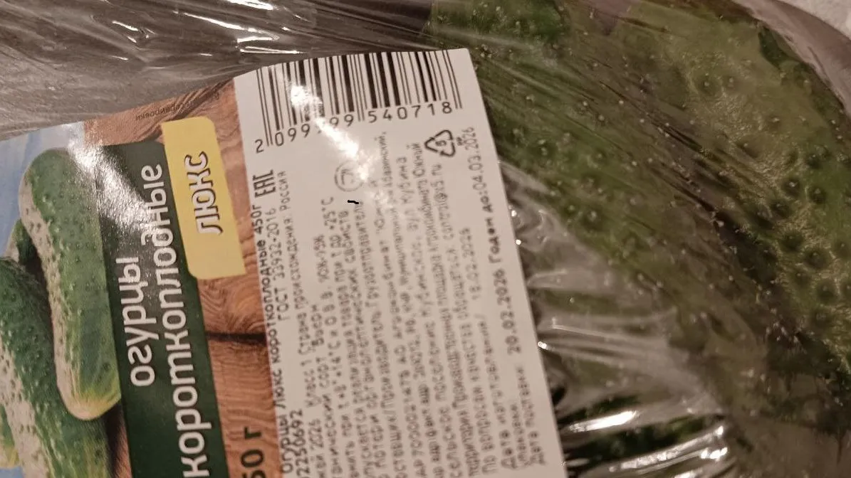 REGIONS/Наталья Пичугина