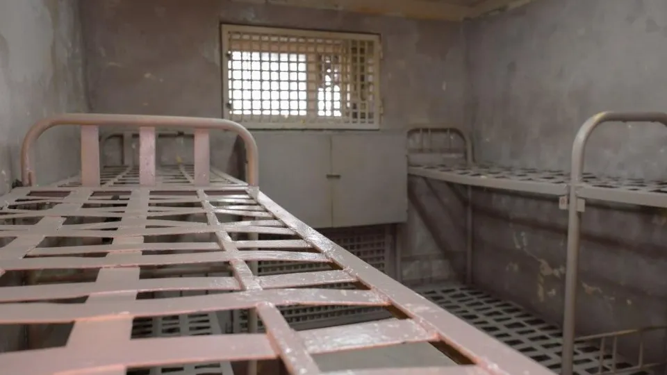 Фото: пресс-служба администрации Сергиево-Посадского г.о.