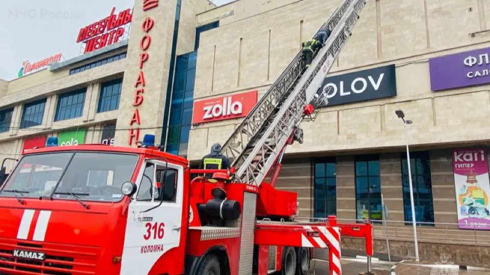 Фото: ГУ МЧС по Московской области