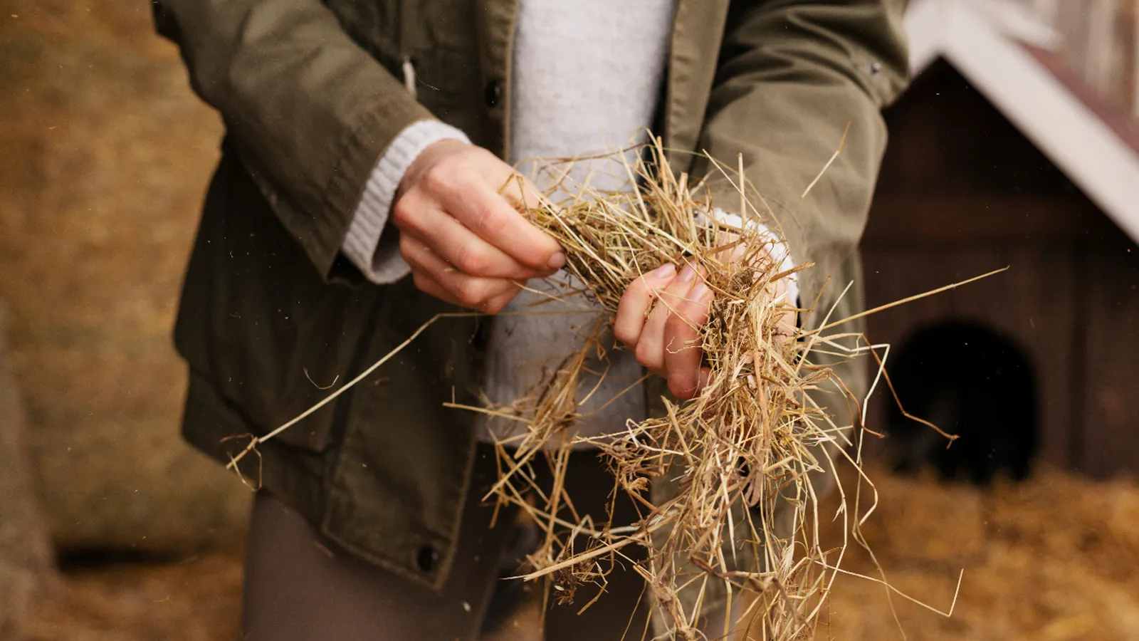 Фото: freepik.com