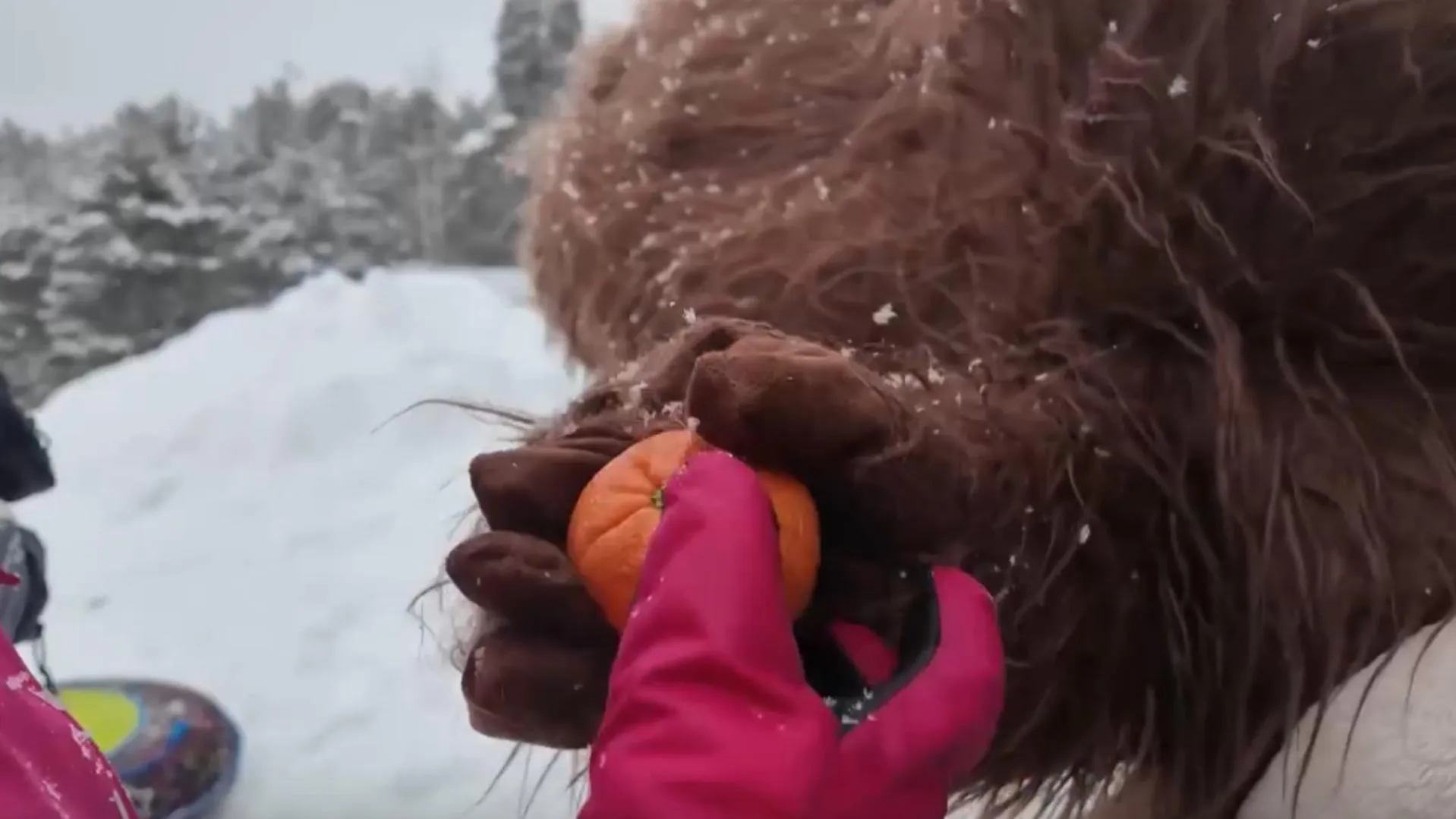 Раменский медиацентр