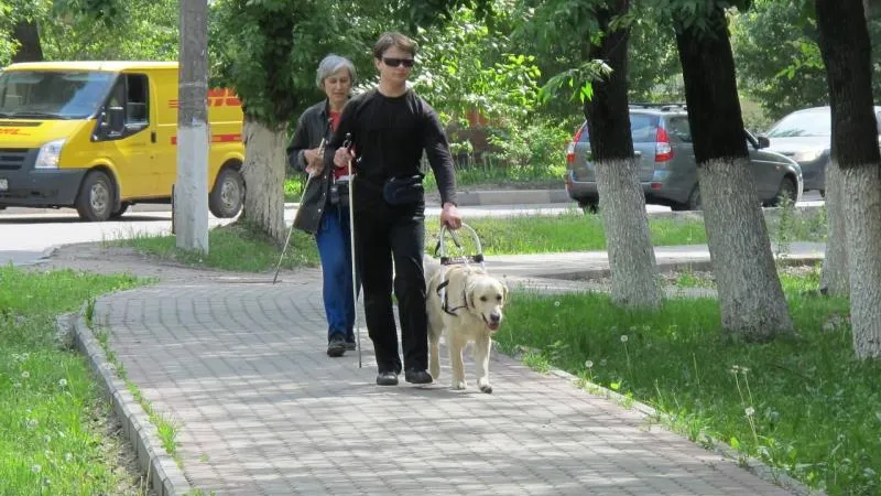 Зрячая помощь