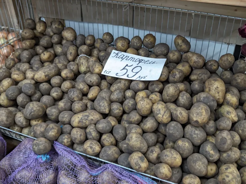 Фото: REGIONS/Алексей Селиверстов