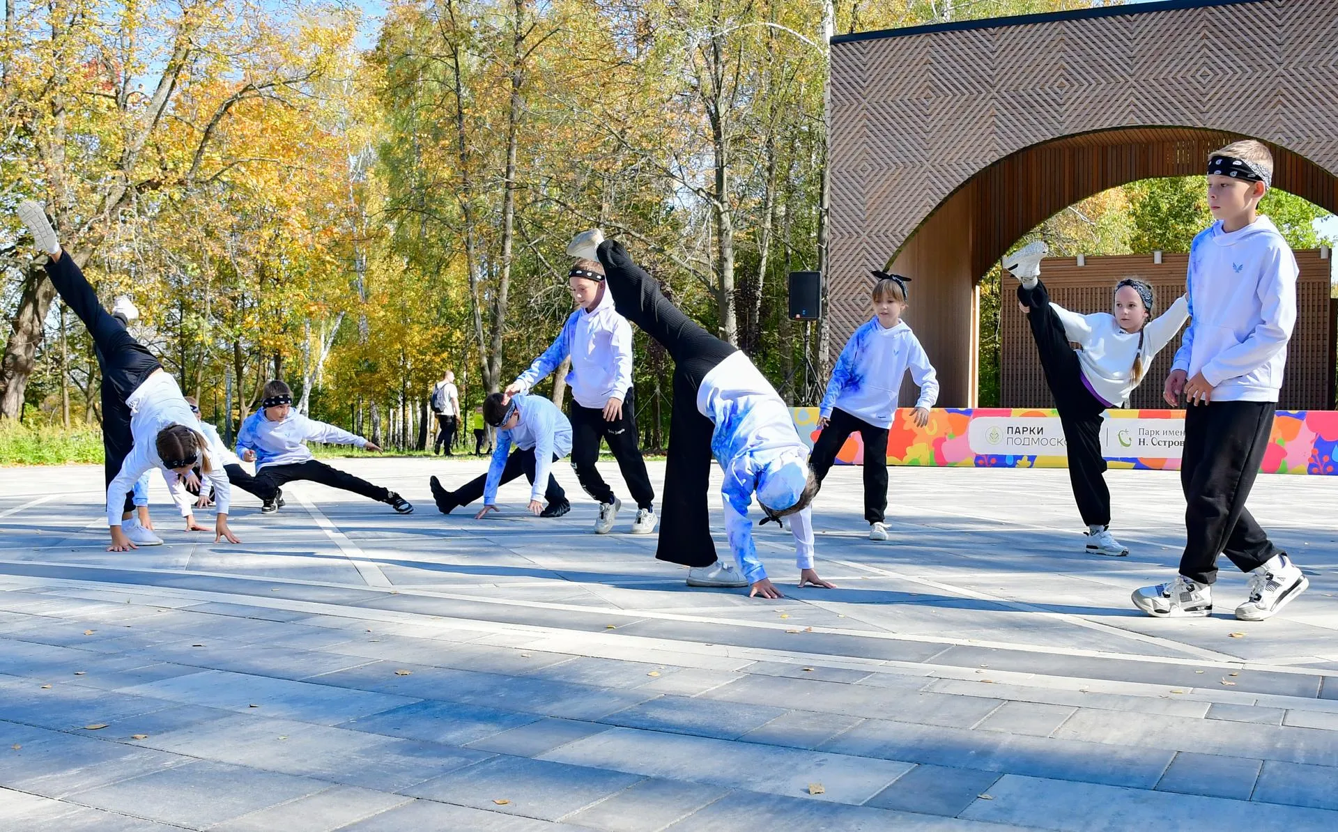 Фото: Наталья Бычкова/Ступинская панорама