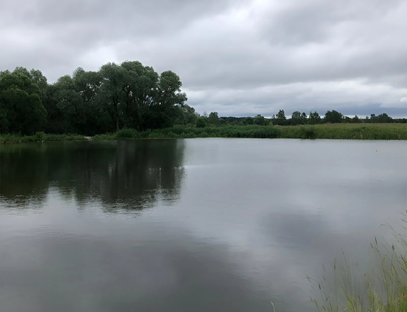 Фото: министерство экологии и природопользования МО