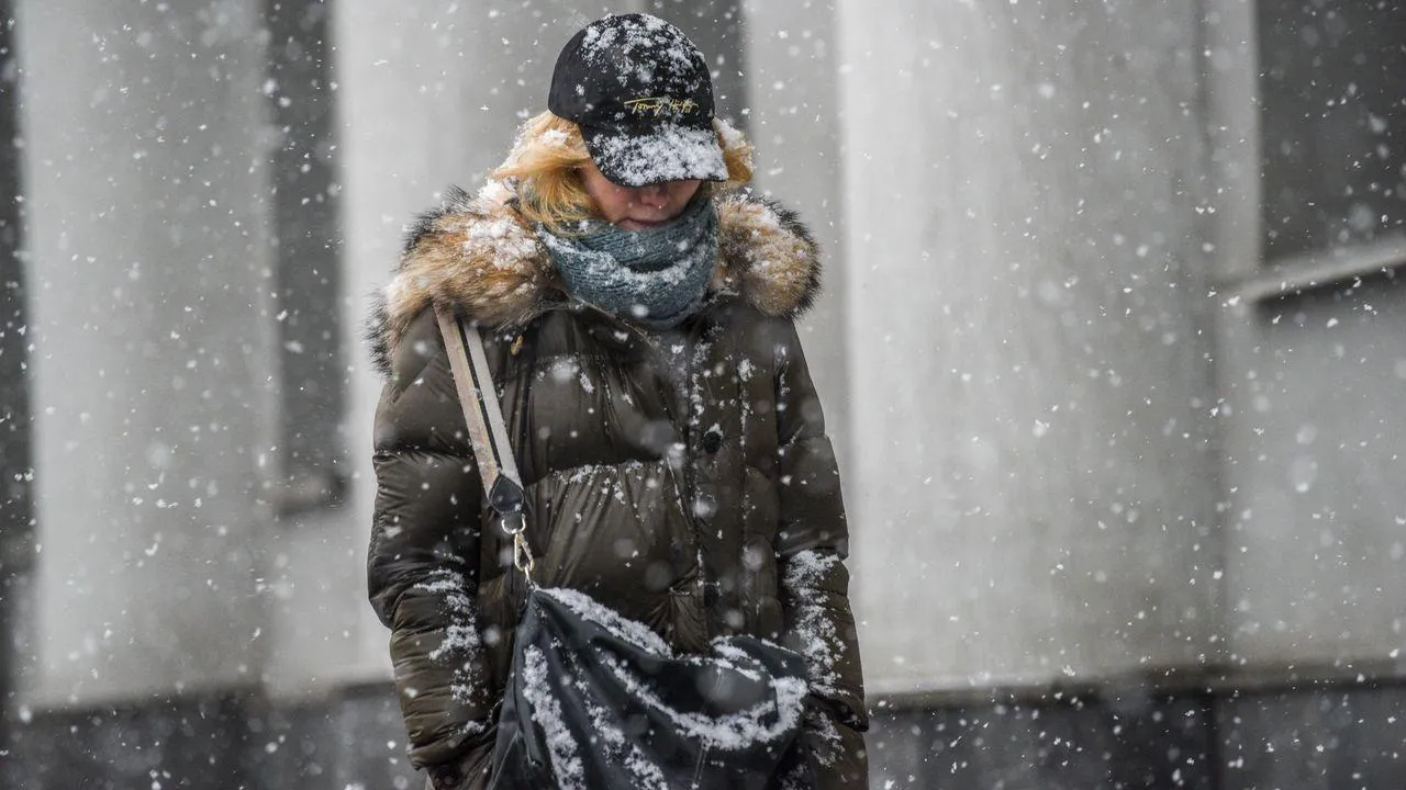 медиасток.рф