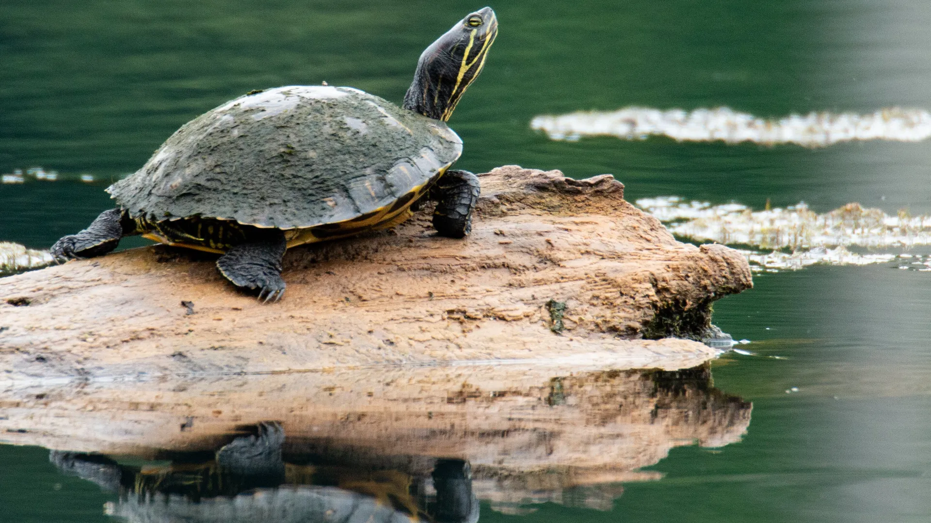 Фото: freepik.com