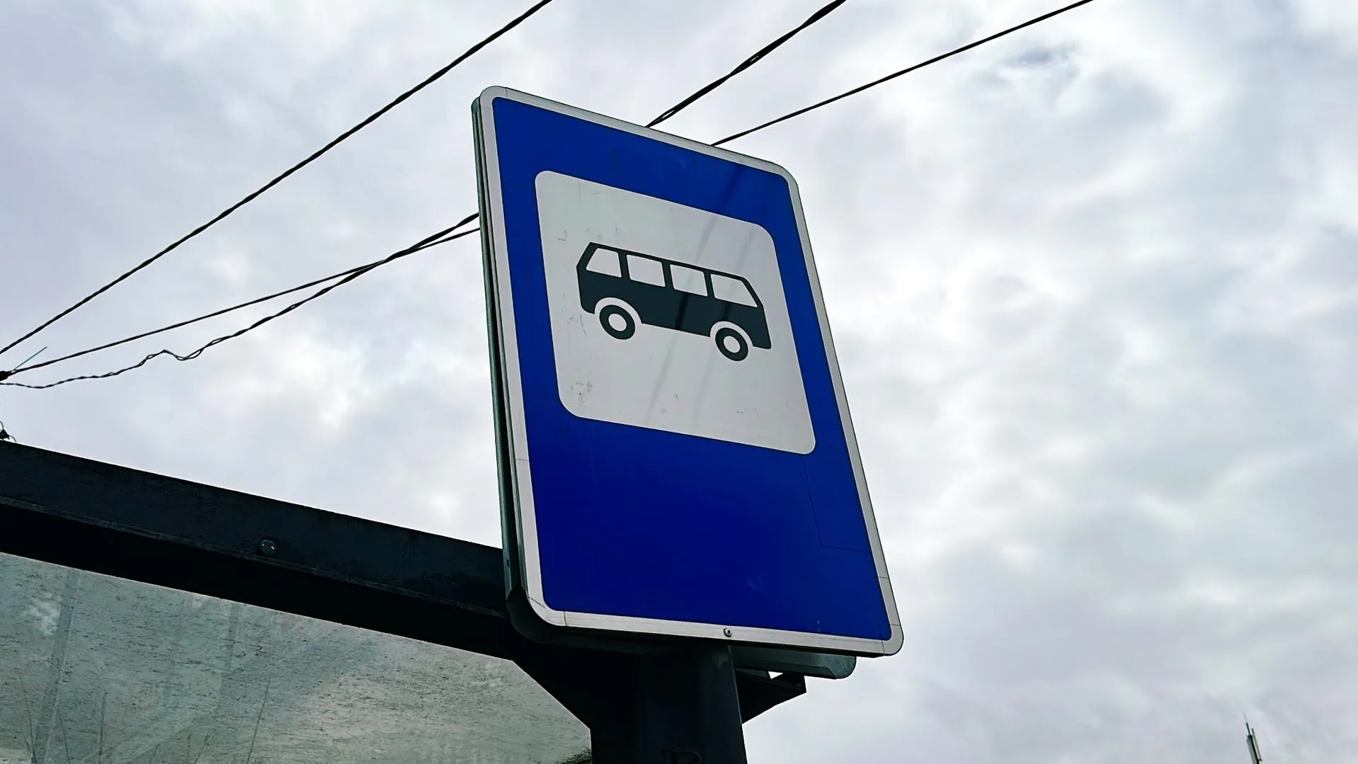 МедиаБанк Подмосковья/Данила Кирьянов