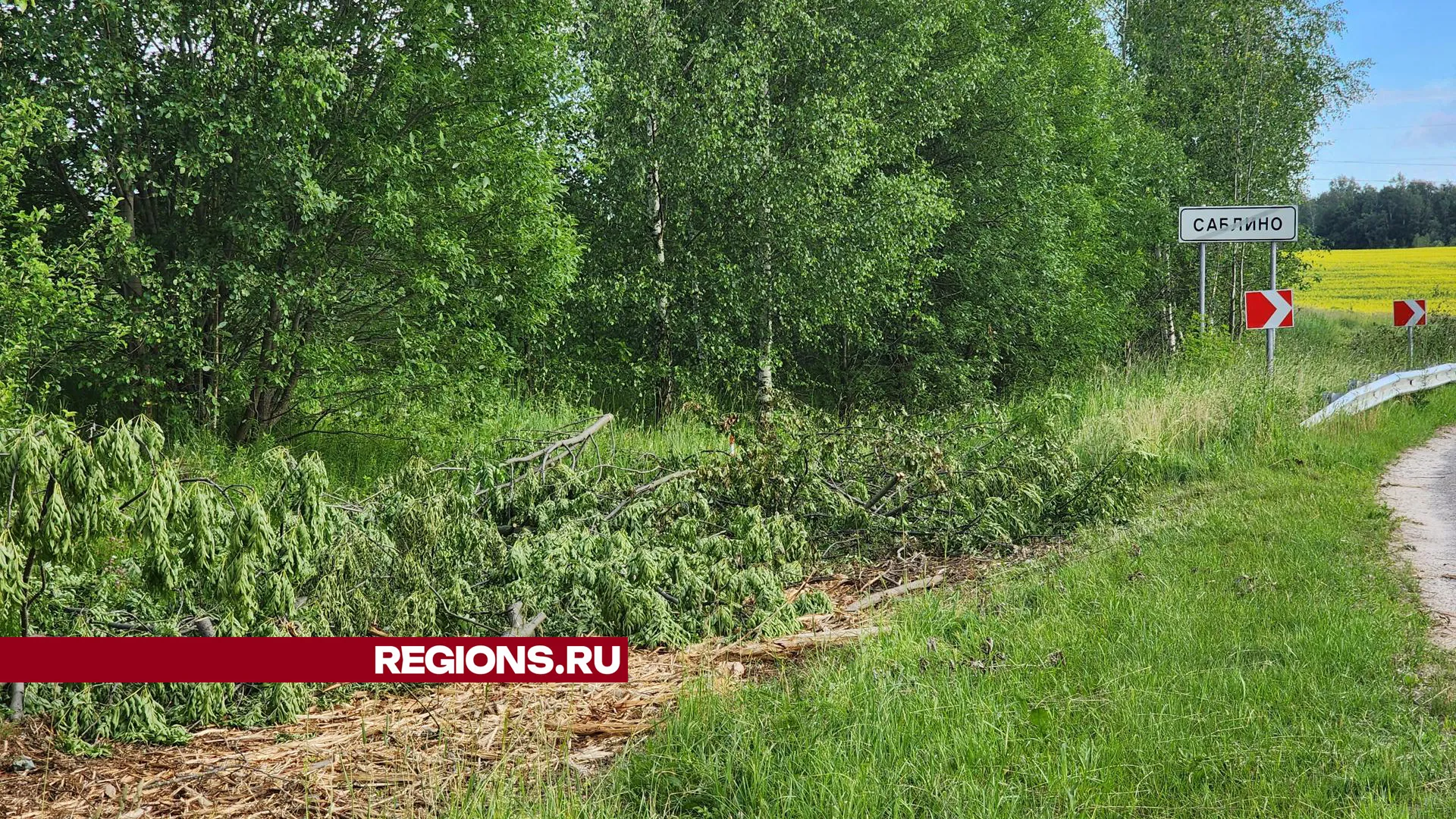 Фото: Марина Анисимова