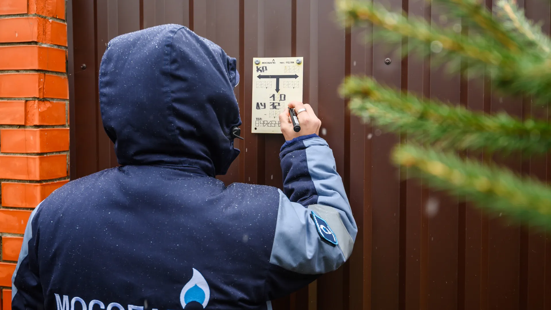 Фото: медиасток.рф