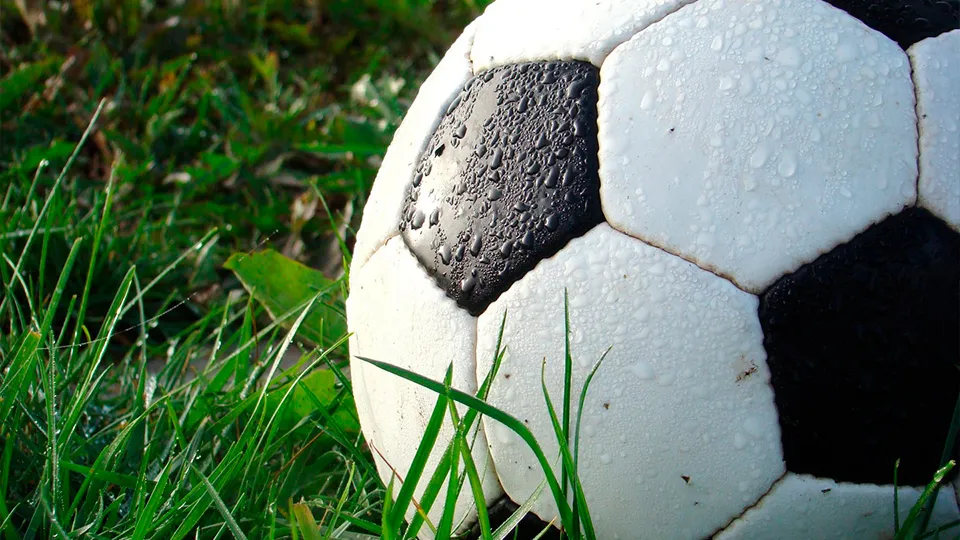 Фото: pxhere.com