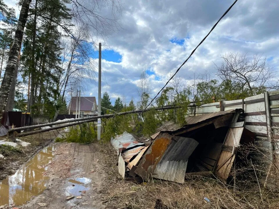 Фото: ГКУ МО «Мособлпожспас»&nbsp;