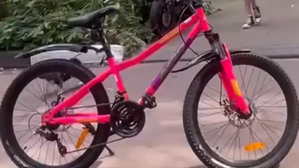 Фото: пресс-служба администрации Ленинского г. о.