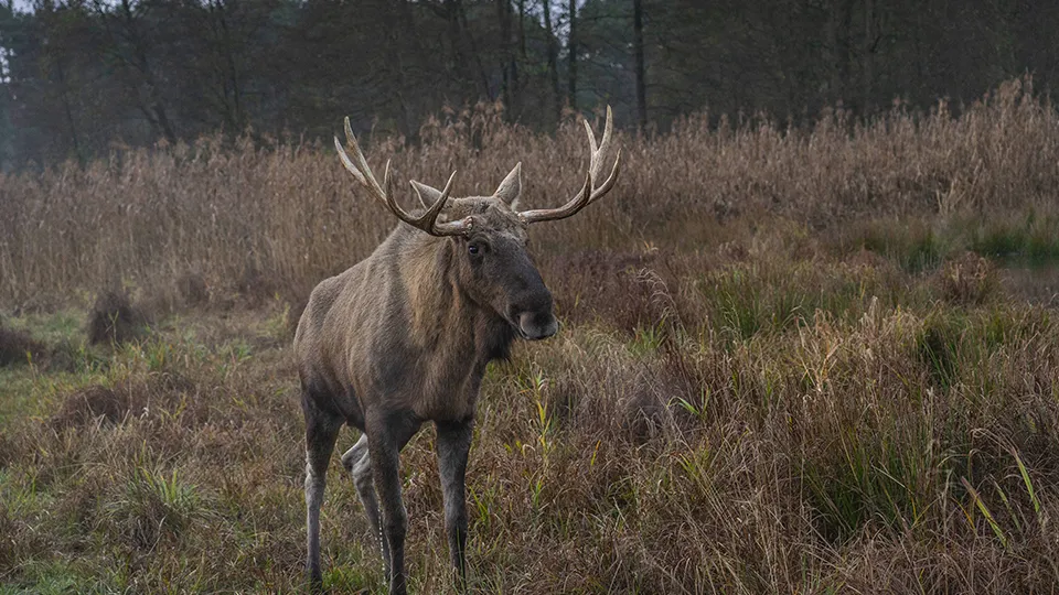 Фото: ТАСС/Volker Hohlfeld