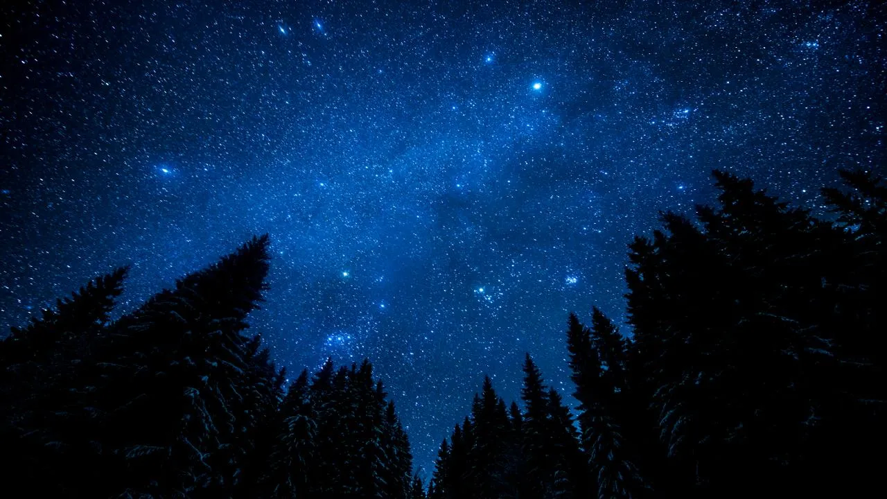 istockphoto.com/maki_shmaki